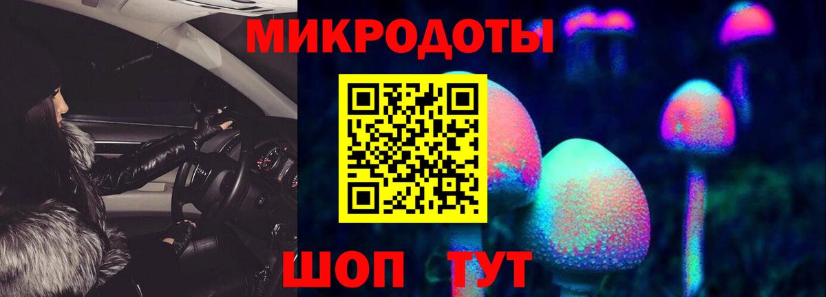 Псилоцибиновые грибы Psilocybe Осинники