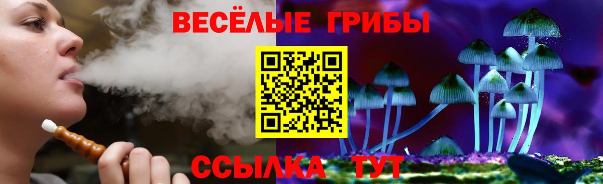 Осинники  Галлюциногенные грибы Magic Shrooms  Вход с VPN 